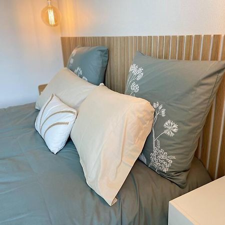 Cocon Douillet Pres De La Gare. Apartment น็องซี ภายนอก รูปภาพ