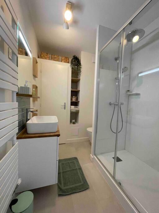 Cocon Douillet Pres De La Gare. Apartment น็องซี ภายนอก รูปภาพ